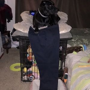 DOCKERS Flat front CLASSIC Fit🐕‍🦺